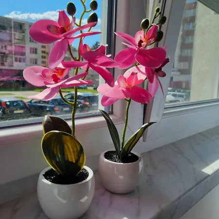 Milica 1 * Doboj